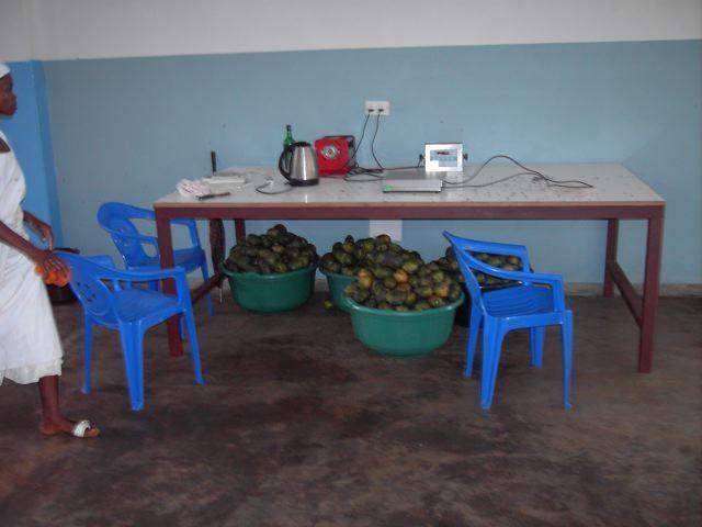 2010-12-12_001.jpg