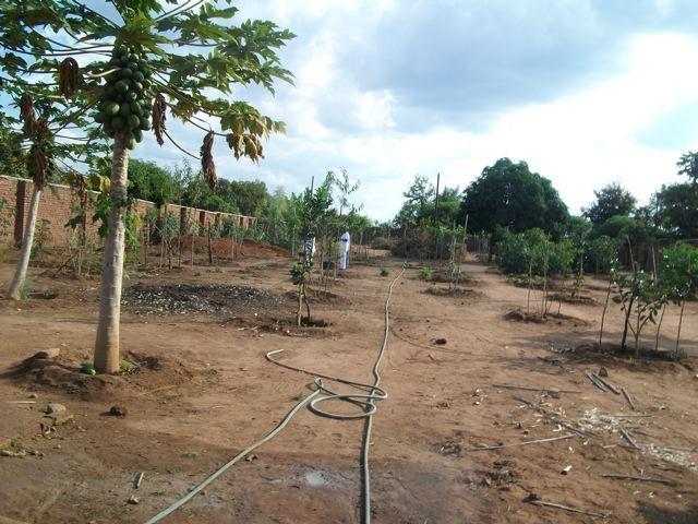 2011-05-30_011.jpg