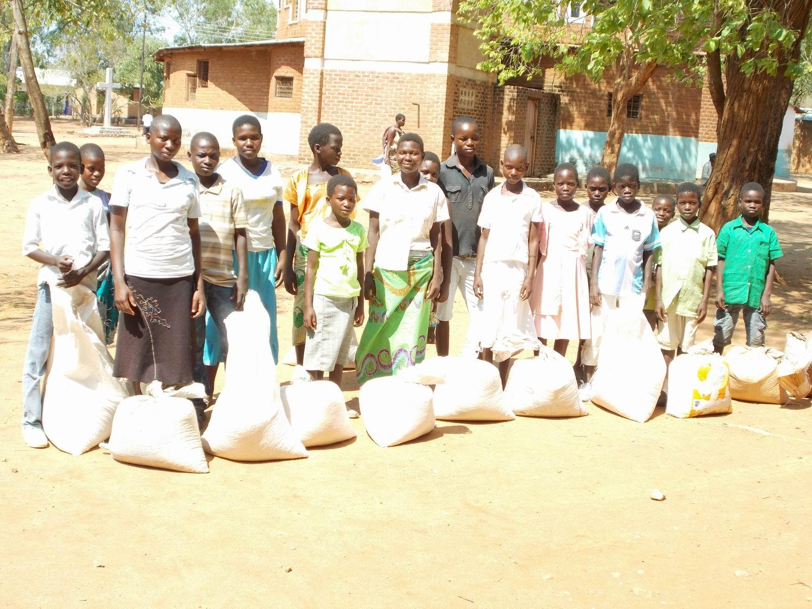 Resize of MAIZE DISTRIBUTION 5